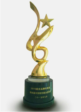 中國財經(jīng)峰會“2015最佳品牌形象獎” 